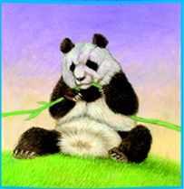 Streicheln eines Pandabärchens